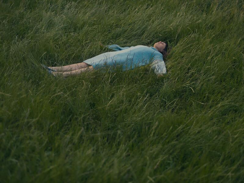 Filmplakat: Lichenlike